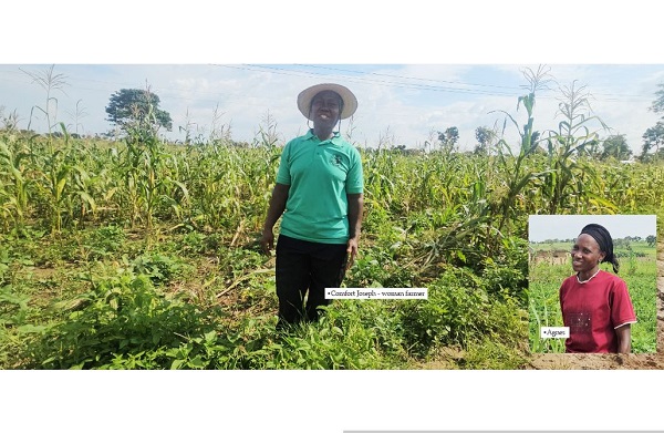 Failed by government&rsquo;s insurance schemes, Niger women-farmers go spiritual