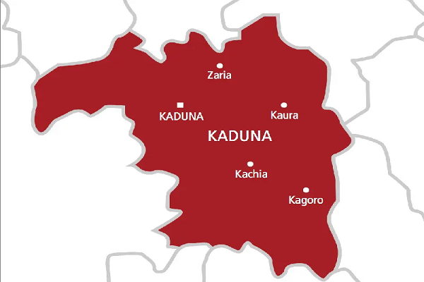 Kaduna officials visit Niger to learn agricultural strategies amid insecurity