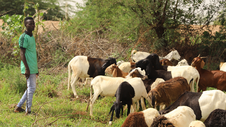 Niger: Strong Agricultural Season Boosts Economic Rebound in 2022