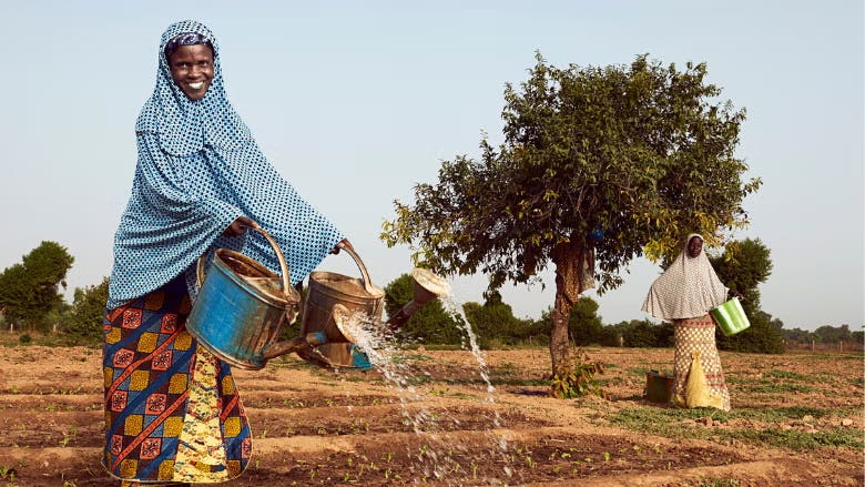 Restoring Land and Livelihoods in Niger&rsquo;s Tahoua Region
